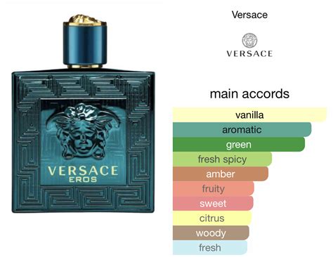 is versace eros for summer or winter|versace eros scent.